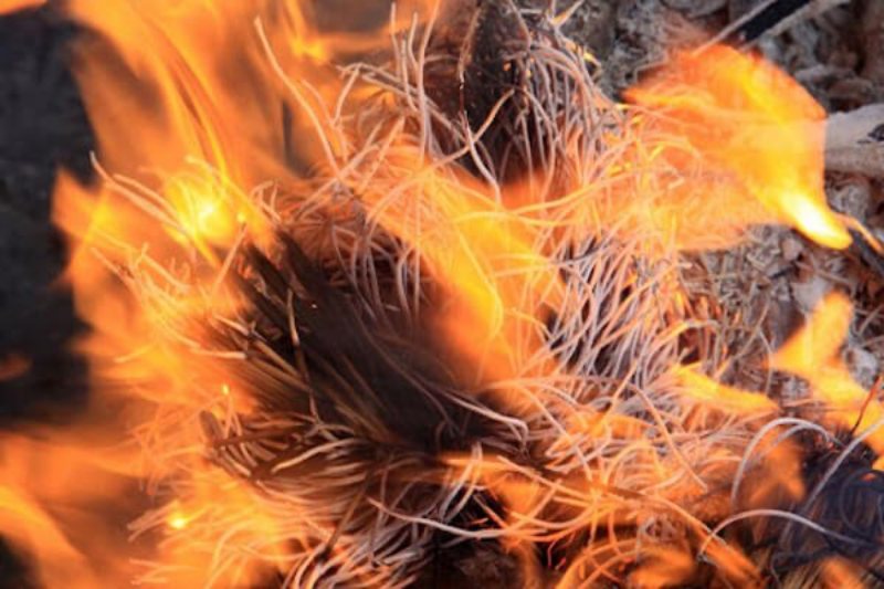 Cháy bát hương đánh con mấy bao ăn?