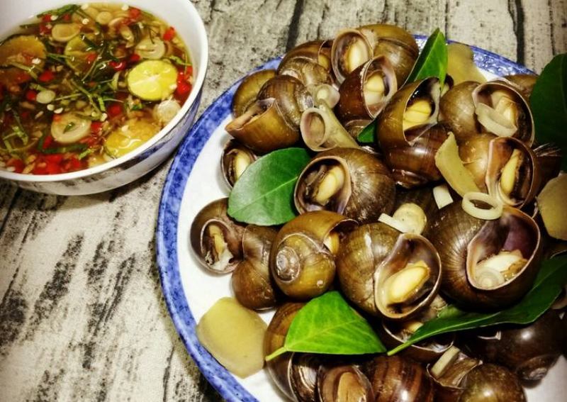 Mơ thấy ốc bươu đánh con gì? Con ốc bươu số mấy? 1 Mơ thấy ốc bươu đánh con mấy bao ăn?