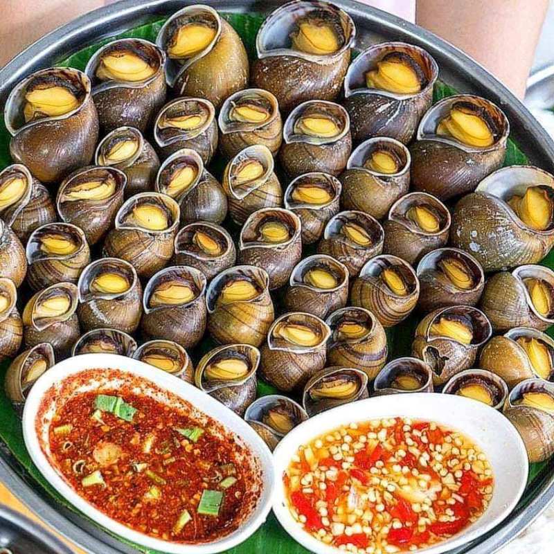 Mơ thấy ốc bươu đánh con gì? Con ốc bươu số mấy? 2 Ăn ốc bươu, mơ thấy nhậu ốc bươu đánh số mấy?