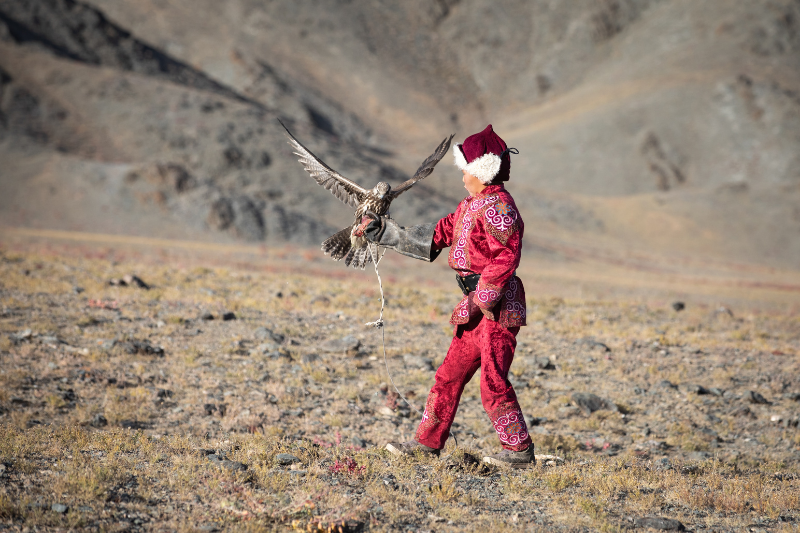 Mơ thấy mình bắt được chim ưng