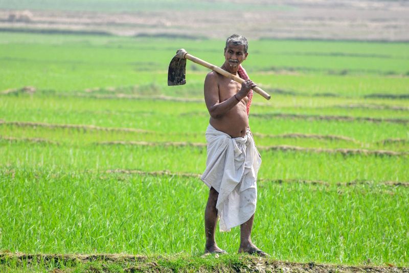 giac-mo-nhat-duoc-cuoc