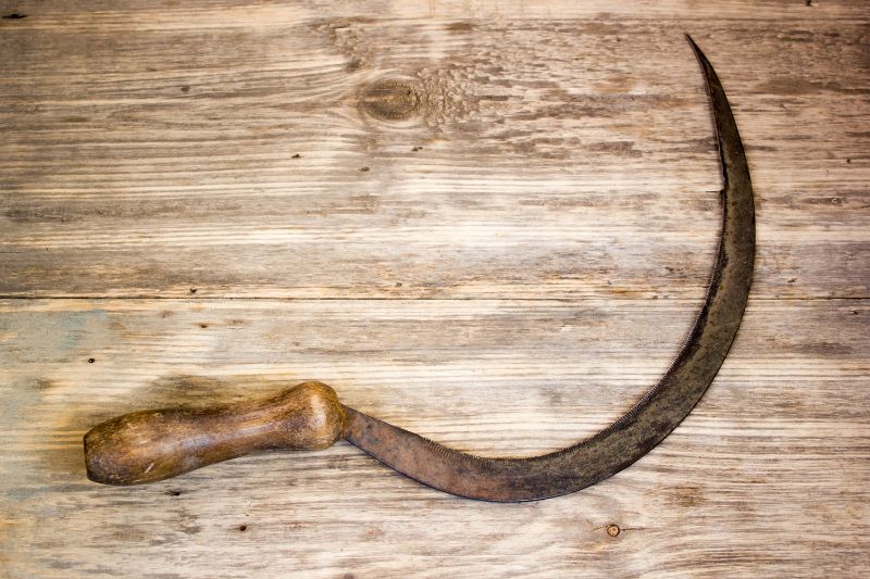 Mơ thấy cái liềm