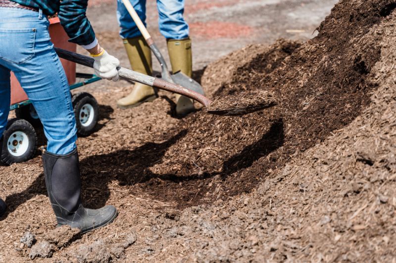 mo-thay-cai-xeng-danh-de-con-gi