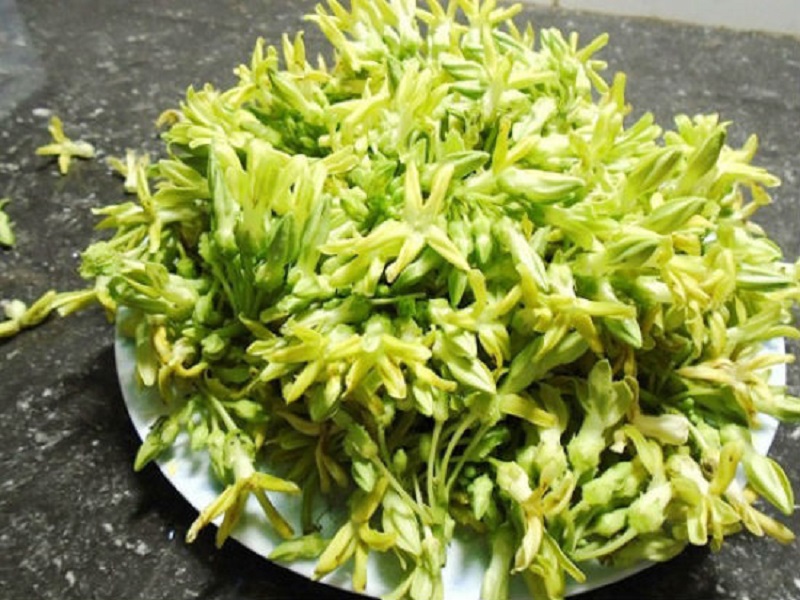 Mơ thấy hoa thiên lý đánh số gì? Mơ thấy hái hoa thiên lý 4 mo-thay-duoc-tang-hoa-thien-ly