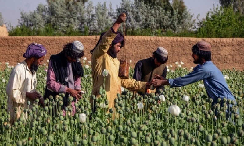 nam-mo-thay-ban-thuoc-phien