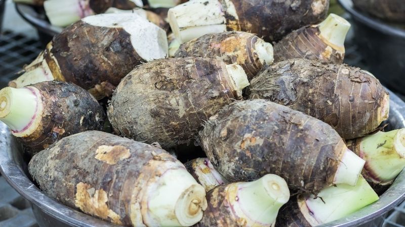 nam-mo-thay-cu-khoai-mon