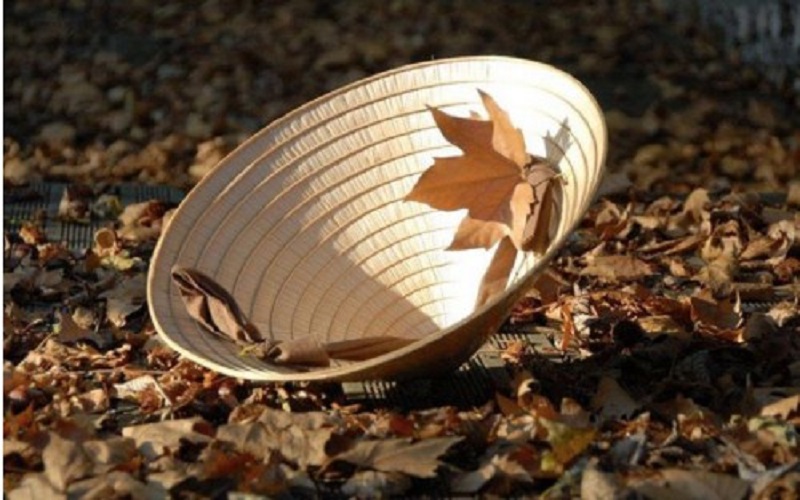 mo-thay-non-la-roi-duoi-dat