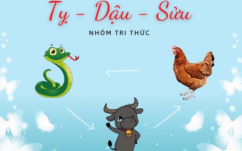 Tam hợp là gì? Tuổi tam hợp 12 con giáp 3 nhom-tri-thuc-ty-dau-suu