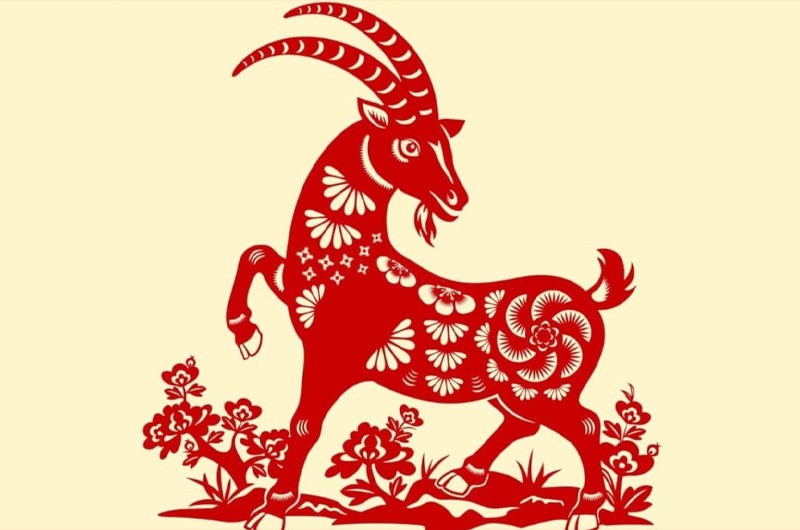 Con giáp có phúc khí ngập tràn, cả đời gặp nhiều may mắn nhất trong 12 con giáp?