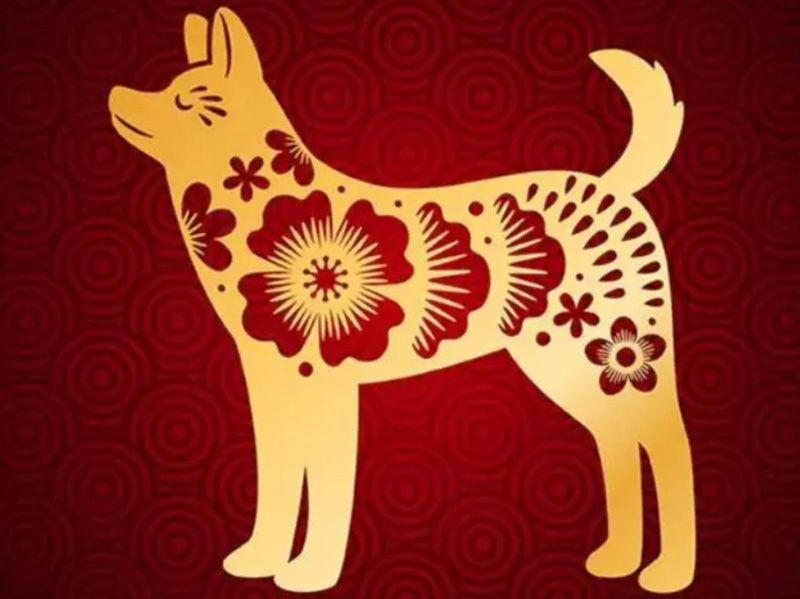 Con giáp có phúc khí ngập tràn, cả đời gặp nhiều may mắn nhất trong 12 con giáp?