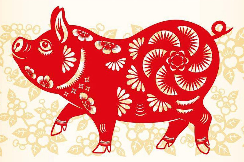 Con giáp có phúc khí ngập tràn, cả đời gặp nhiều may mắn nhất trong 12 con giáp?