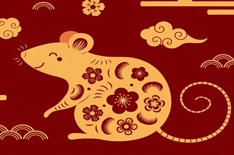 Con giáp có phúc khí ngập tràn, cả đời gặp nhiều may mắn nhất trong 12 con giáp?