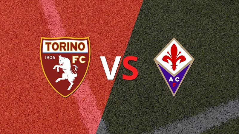 Link trực tiếp Torino vs Fiorentina 20h ngày 21/5 Full HD 1 Link trực tiếp Torino vs Fiorentina 20h ngày 21/5 Full HD