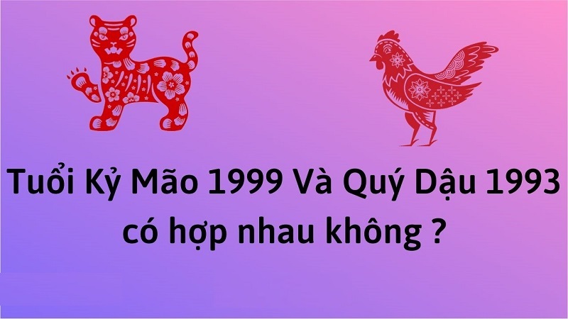 Chồng 1993 vợ 1999 có hợp không? Sinh con năm nào hợp? 2 chong-1993-vo-1999-co-hop-nhau-khong