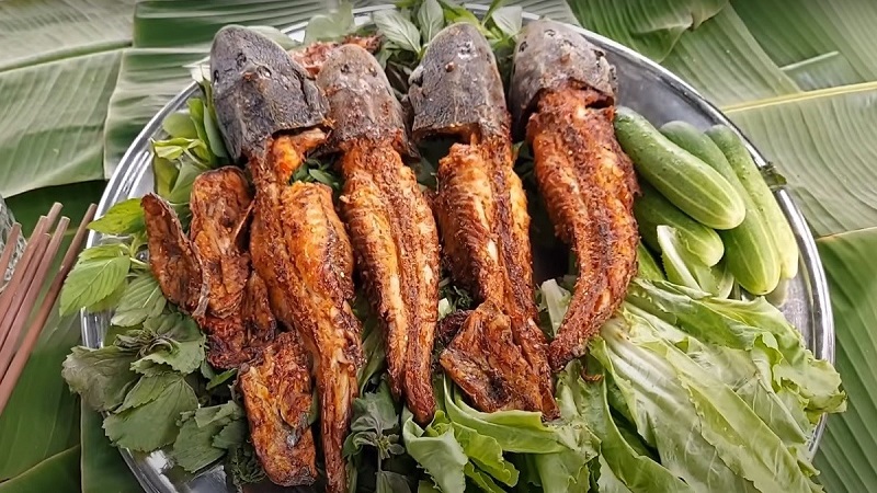 Nằm mơ thấy cá lau kiếng đánh con gì? Ý nghĩa giấc mơ này 3 mo-thay-an-ca-lau-kieng