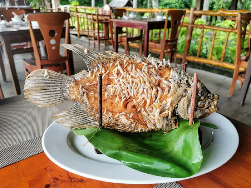 Mơ thấy cá tai tượng đánh con gì? Ý nghĩa giấc mơ này 3 mo-thay-an-ca-tai-tuong