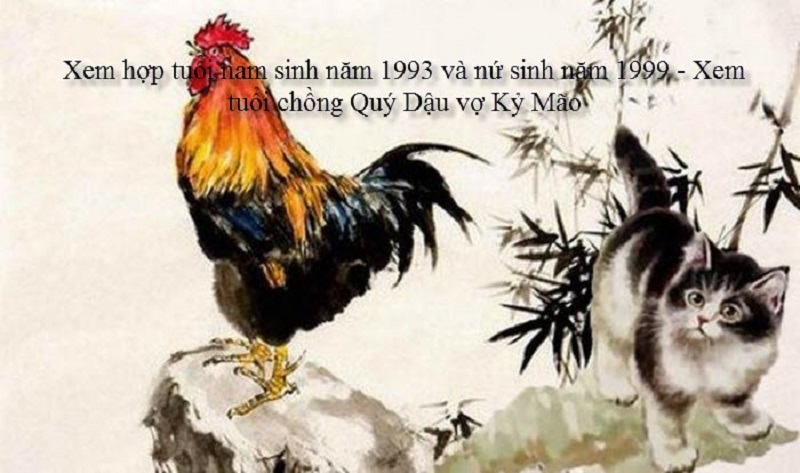 Chồng 1993 vợ 1999 có hợp không? Sinh con năm nào hợp? 1 tu-vi-chong-1993-vo-1999