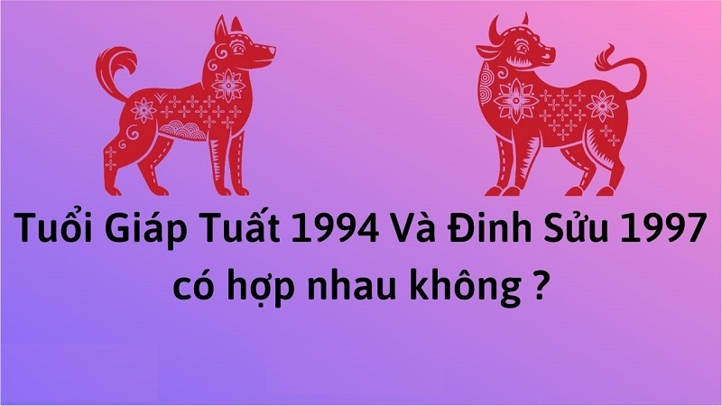 Chồng 1994 vợ 1997 có hợp không? Cách hóa giải xung khắc? 2 chong-1994-vo-1997-co-hop-nhau-khong