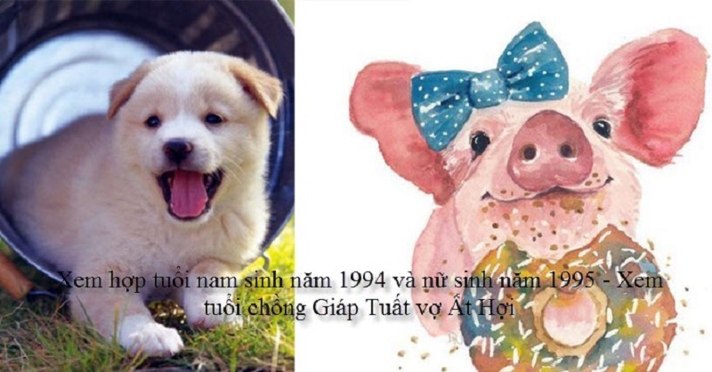 Chồng 1994 vợ 1995 có hợp không? Sinh con năm nào hợp? 1 tu-vi-chong-1994-vo-1995