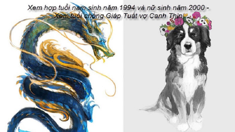 Chồng 1994 vợ 2000 có hợp không? Sinh con năm nào hợp? 1 tu-vi-chong-1994-vo-2000