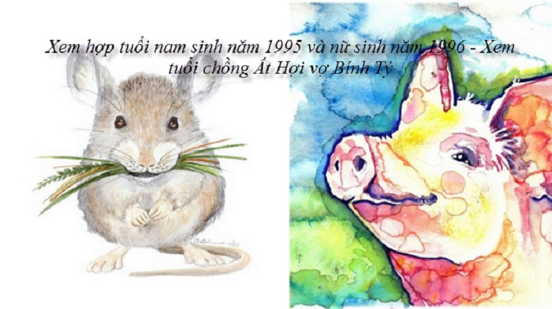 Chồng 1995 vợ 1996 có hợp không? Sinh con năm nào hợp? 1 tu-vi-chong-1995-vo-1996