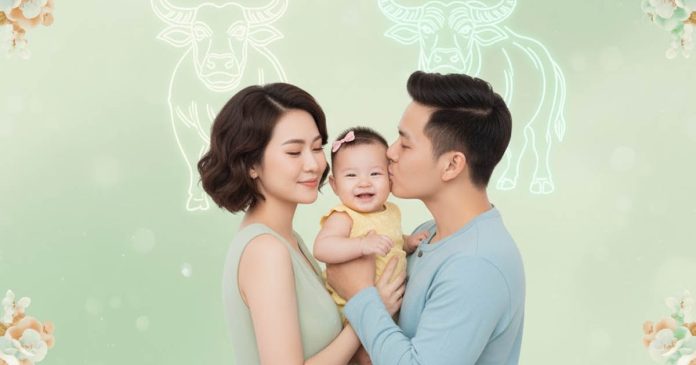 chong-1997-vo-1997-co-hop-khong-sinh-con-nam-nao-hop chong-1997-vo-1997-co-hop-khong