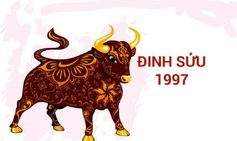 Chồng 1997 vợ 1997 có hợp không? Sinh con năm nào hợp? 1 tu-vi-chong-1997-vo-1997