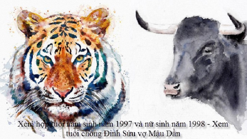 Chồng 1997 vợ 1998 có hợp không? Sinh con năm nào hợp? 1 tu-vi-chong-1997-vo-1998