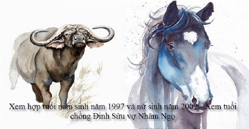 Chồng 1997 vợ 2002 có hợp không? Sinh con năm nào tốt? 1 tu-vi-chong-1997-vo-2002