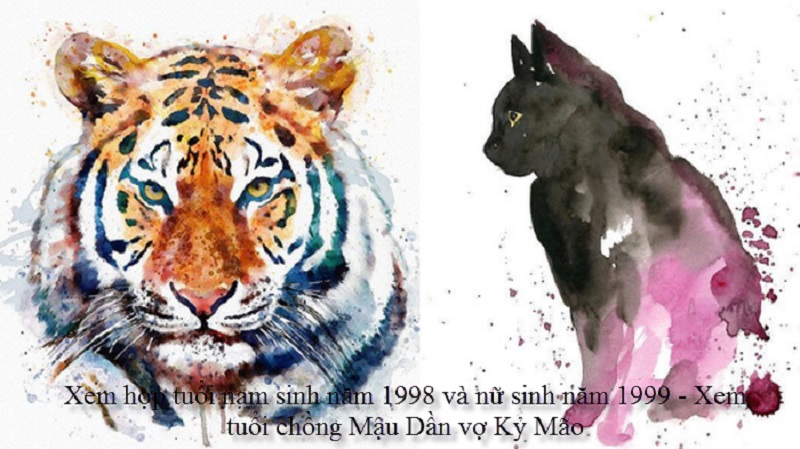 Chồng 1998 vợ 1999 có hợp không? Sinh con năm nào hợp? 1 tu-vi-chong-1998-vo-1999