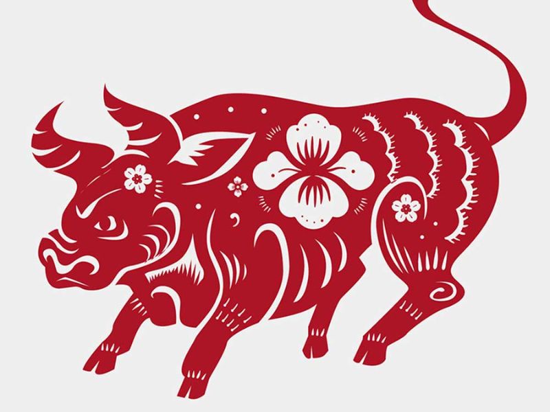 Coi bói 12 con giáp ngày 29/4/2025: Nhiều cơ hội gõ cửa 1 Coi bói 12 con giáp ngày 29/4/2025 tuổi Sửu