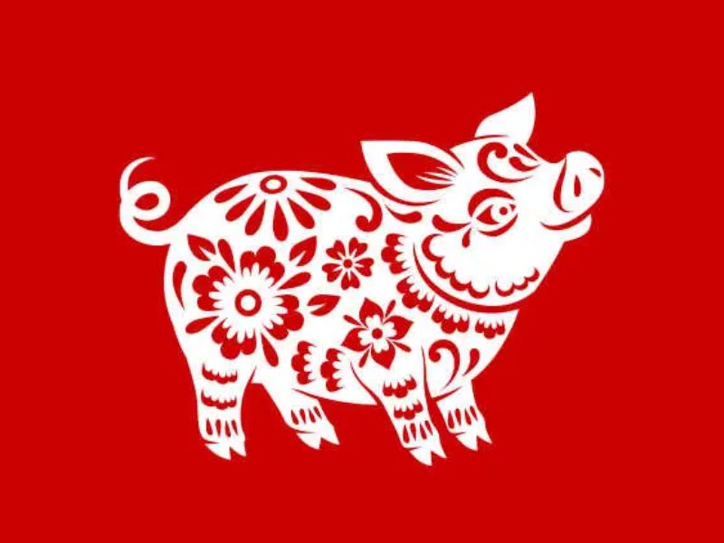 Tử vi 12 con giáp tháng 4 âm lịch: Cơ hội đang đón chờ phía trước 3 Tử vi 12 con giáp tháng 4 âm lịch 2025 - tuổi Hợi