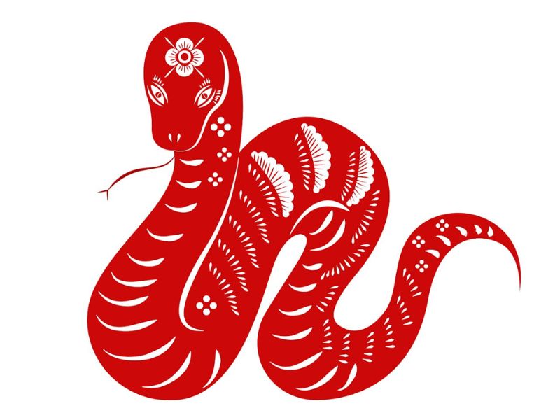 Tử vi hàng ngày tuổi Tỵ