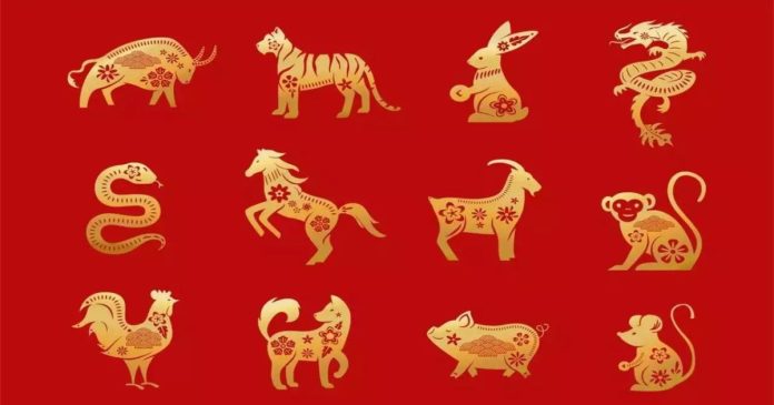 Tử vi hàng ngày 12 con giáp