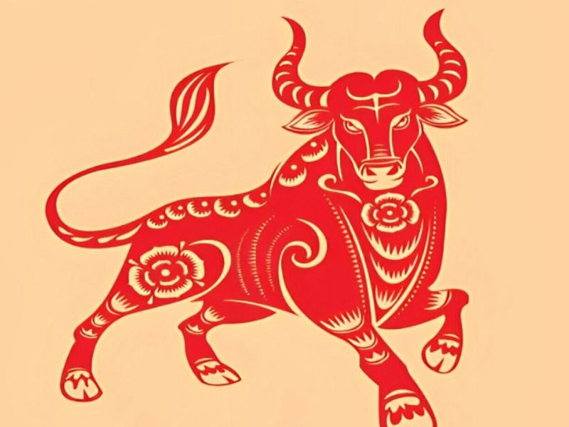 Tử vi hôm nay 11/4/2025: Tuổi Thìn gặp trở ngại, tuổi Ngọ cẩn trọng khi quyết định 2 Tử vi hôm nay 11/4/2025 tuổi Sửu nhiều may mắn