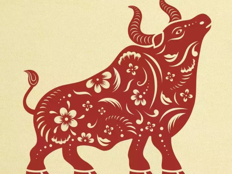 Tuổi Sửu hôm nay sự nghiệp ra sao