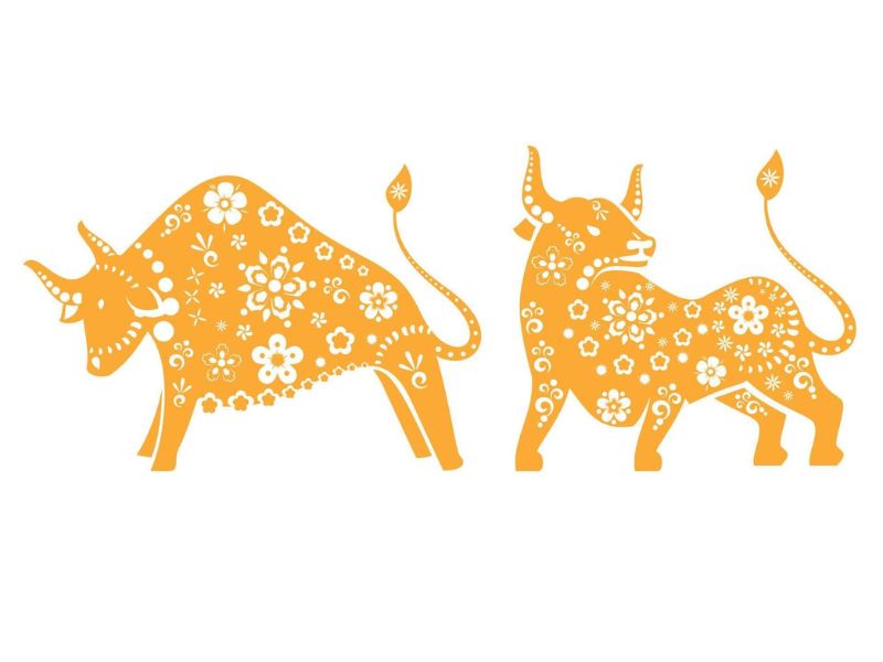 Tuổi Sửu hôm nay tình cảm ra sao