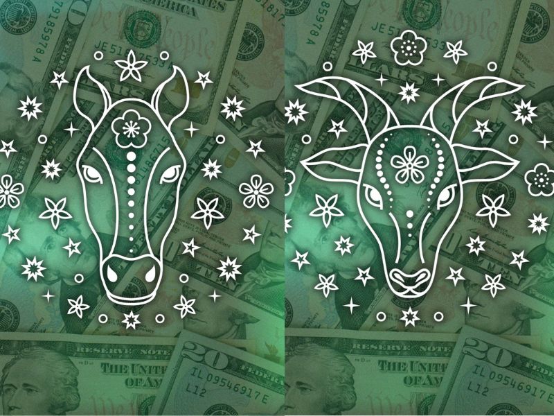 Xem tử vi trong ngày 27/4/2025 của 12 con giáp dự báo điều gì? 2 Xem tử vi trong ngày tuổi Ngọ - Mùi