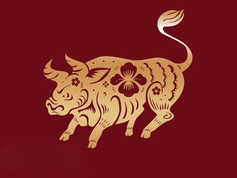 Bói hàng ngày 21/5/2025 tuổi Sửu