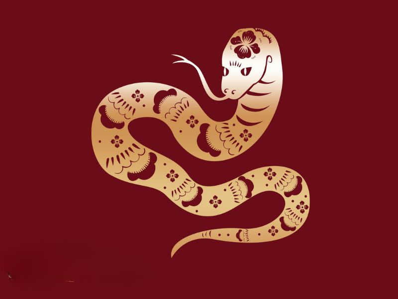 Bói hàng ngày 21/5/2025 tuổi Tỵ