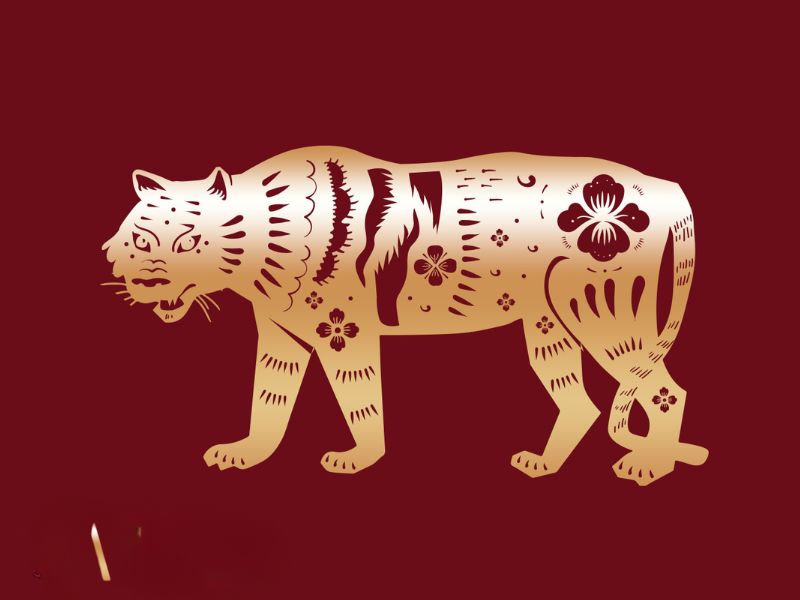 Bói quẻ tuổi Dần