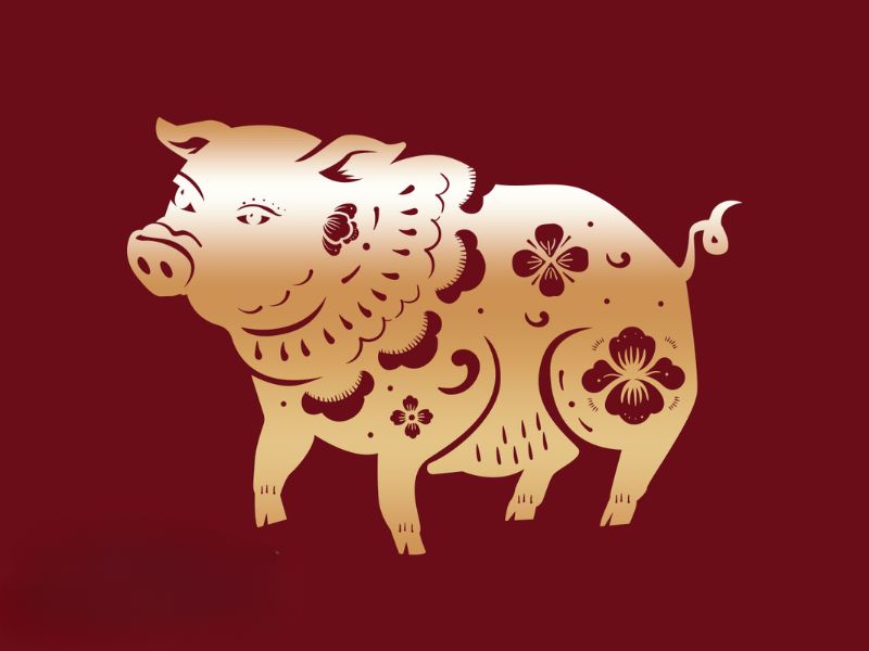 Bói quẻ tuổi Hợi