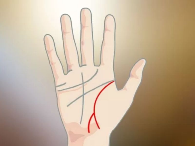 Đường chỉ tay đuôi cá cuối đường sinh đạo