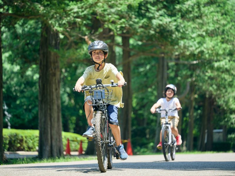 Mơ thấy chạy xe đạp 1