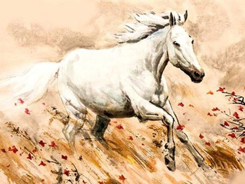 Ngày mai đẹp hay xấu cho tuổi Ngọ