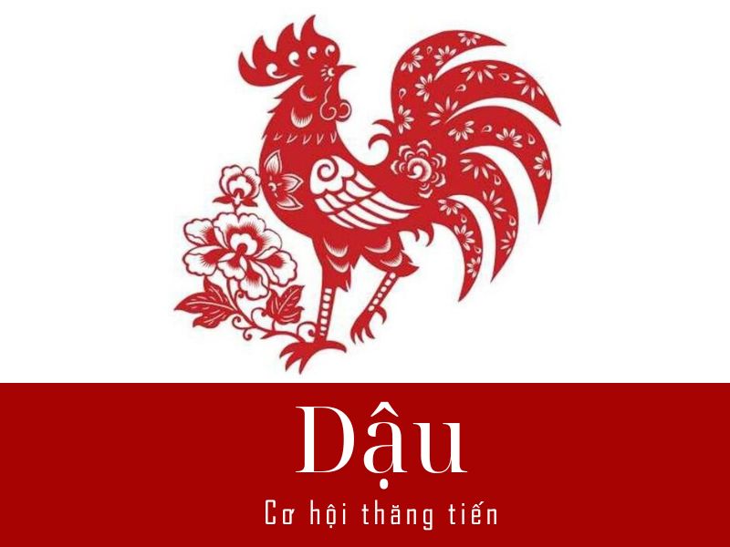 Tử vi mỗi ngày tuổi Dậu