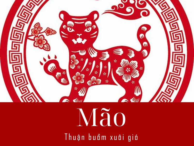 Tử vi mỗi ngày tuổi Mão