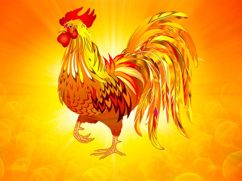 Tử vi ngày mai 12 con giáp: Dự đoán chi tiết cho ngày 27/5/2025 3 Tử vi ngày mai 12 con giáp 27/5/2025 tuổi Dậu