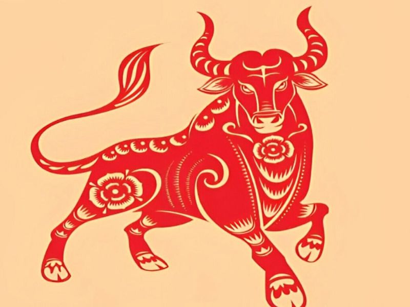 Xem bói trong tuần 2/6 - 8/6/2025 tuổi Sửu