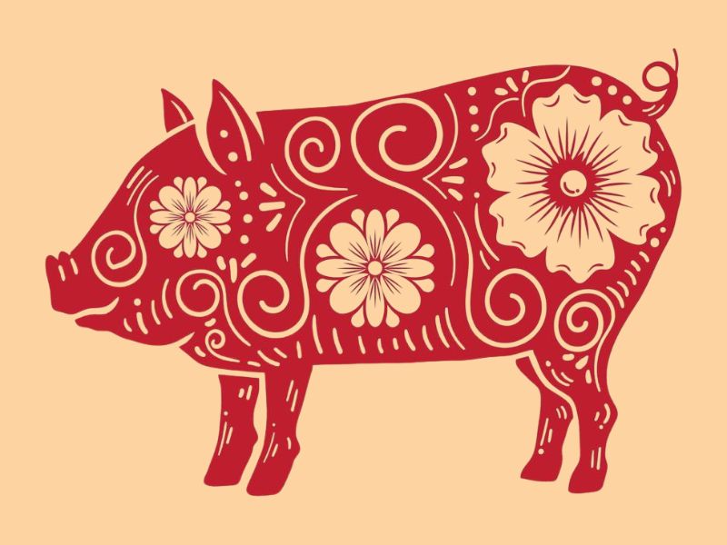 Tử vi ngày mai của 12 con giáp - Tuổi Hợi